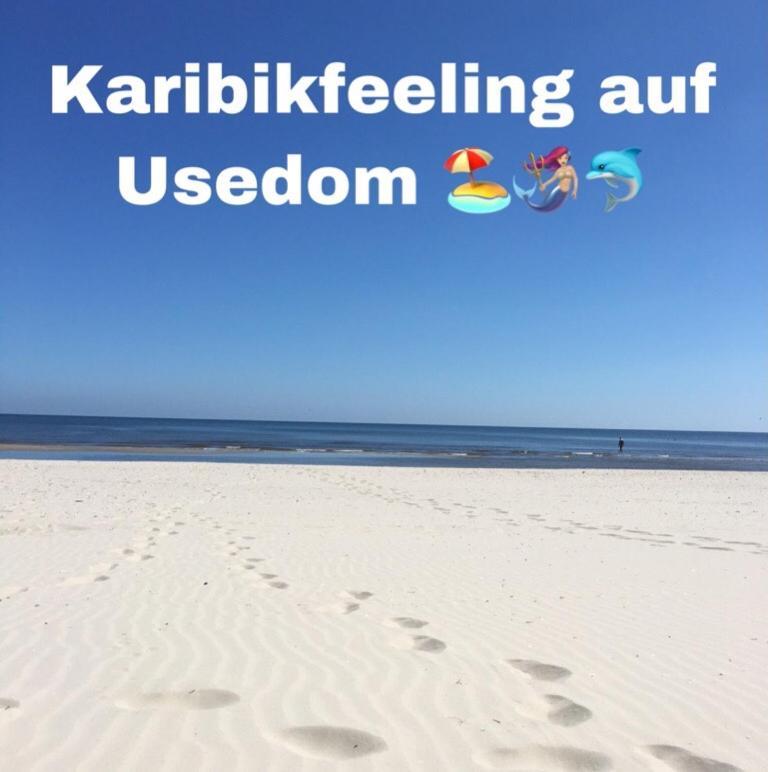 Ferienwohnung Mit Terrasse - Insel Usedom Trassenheide Exterior photo